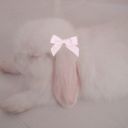 thamoonlitangel avatar