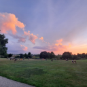 thanderingthinker avatar