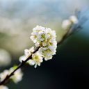 thang12cuatoi avatar