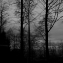 thanis02-blog avatar