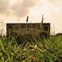 thanknosuhagain avatar