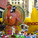 thanksgiving-in-november avatar