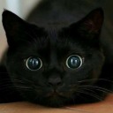 that-0ne-betch avatar