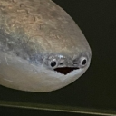 that-bastard-with-all-the-bones avatar