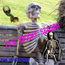 that-chaotic-trash avatar