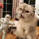 that-goodgirl-faith avatar