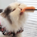 that-guy-on-fire avatar