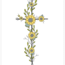 that-hippy-dippy-christian avatar