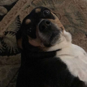 that-is-hella-rad-brub avatar