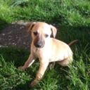 that-jammy-sod avatar