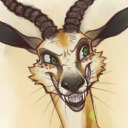 that-kinda-furry avatar