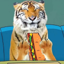 that-one-assassin avatar