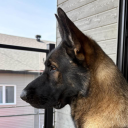 that-one-disaster avatar