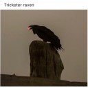 that-one-dumb-agender avatar