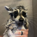 that-one-strange-thing-blog avatar