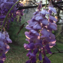 that-punk-rock-freak avatar