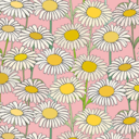 that-s-mysunshine avatar