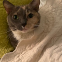 that-thing-with-the-stuff avatar