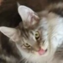 that-weird-girl-next-door avatar