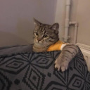 that-weird-otter-girl avatar