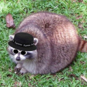 that-writing-raccoon avatar