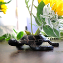 that10percent avatar