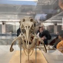 thatbirdguyyouknow avatar