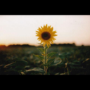 thatbloggerbabe avatar