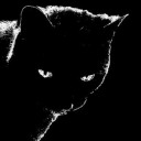 thatblvckboyy avatar