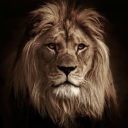 thatbrownmundaa-again avatar