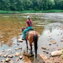 thatdodgegirl avatar