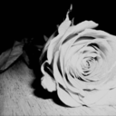 thatdrunktaste avatar