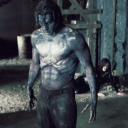 thatdude01181 avatar