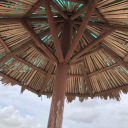 thatficwheretheprotagisadog avatar