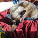 thatfreckledenby avatar