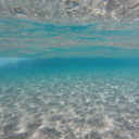 thatgirlwhodreamsss avatar