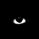 thatgirlwithrandomthoughts avatar