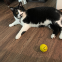 thatguylovely avatar