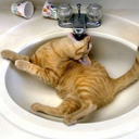 thatguywhodrawsalittle-moving avatar