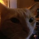 thatguywhosfriendlyasfuck avatar