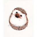 thathappyhedgehog avatar