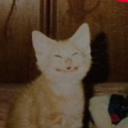 thathorriblebitch avatar