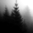 thatiswhatlifeis avatar