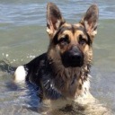 thatknifeanon avatar