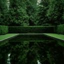 thatlasthouse avatar