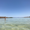 thatlittle-mermaid avatar