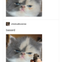 thatlittlevoiceinyourmind avatar