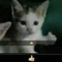 thatoneannoyinggremlin avatar