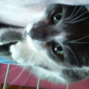 thatonechick-overthere avatar