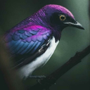 thatoneclod666 avatar